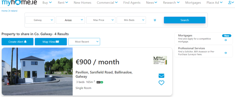 My home.ie website